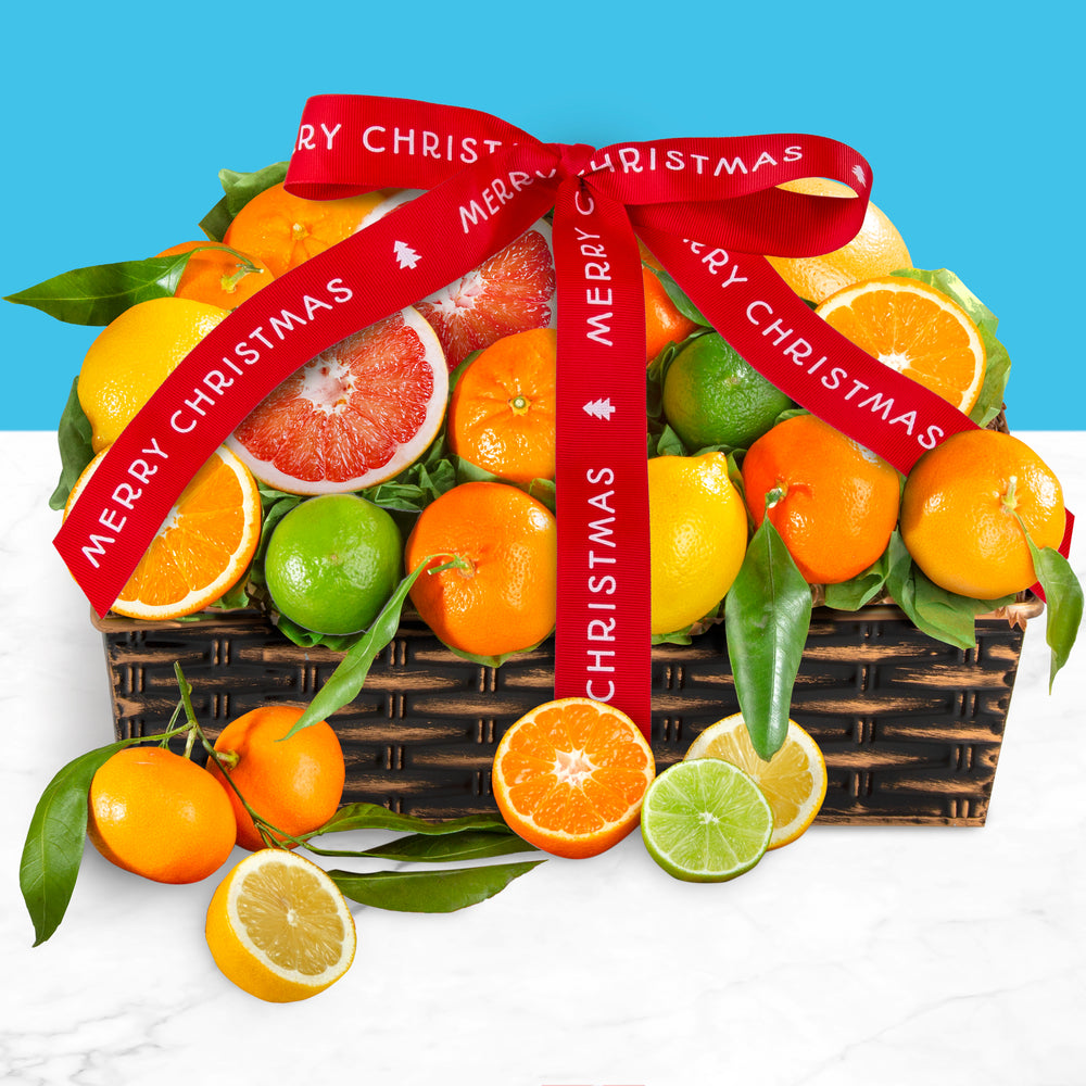 Merry Christmas Citrus Gift Bag