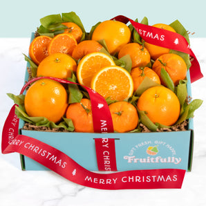 Christmas Citrus Gift Box
