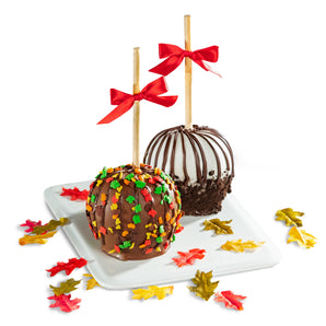 Autumn Chocolate Covered Caramel Apples